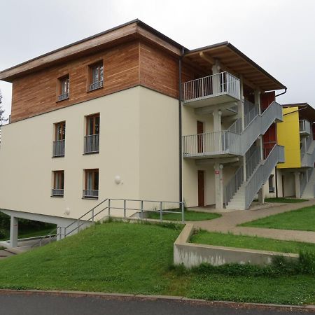 Family Apartment Lipno Lake リプノ・ナト・ヴルタヴォウ エクステリア 写真